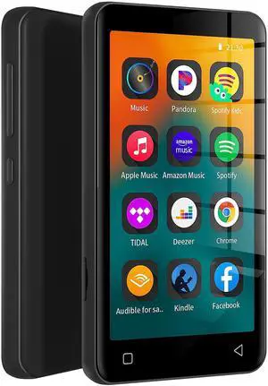 MP3 Player with Bluetooth and WiFi,MP3 Player with Spotify,Spotify Kids,Audible,Pandora,Amazon Music,4" Music Player MP4 Up to 1TB(80GB,Black)
