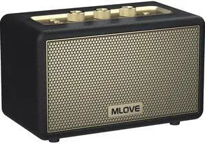 A200 Portable Retro Bluetooth Speaker with Aux Input, USB Port, Micro SD Card Slot - Decorative Wireless Bookshelf Speakers Battery Powered, House Warming Gifts for New Home, Black and Gold