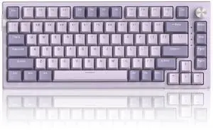 MageGee SKY81 75% Wireless Gasket Mechanical Gaming Keyboard, Hot Swappable RGB Custom Creamy Keyboard w/ 5-Layer Padding, BT/2.4G/USB-C, Knob Control, NKRO for Win/Mac (Dreamy Sky, Violet Switch)