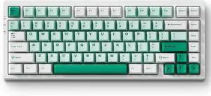 MCHOSE G75 PRO 75% Wireless Mechanical Keyboard, TKL Keyboards Tri-Mode BT5.0/2.4GHz/USB-C, Hot Swap Custom Creamy Keyboards Linear Switch, Double Shot PBT Keycaps RGB LED Backlit, White&Green