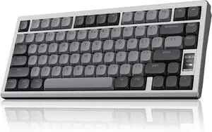 Chilkey ND75 LP Low Profile Keyboard: 75 Percent Wireless Aluminum Mechanical Gaming Keyboard w/Screen, Tri-Mode, Quick Disassembly, RGB Backlit Key Board for Laptop Office PC (Silver)