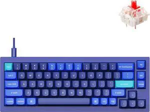 Keychron Q2 Wired Custom Mechanical Keyboard, QMK/VIA Programmable Macro, Full Aluminum, Hot-Swappable Gateron G Pro Red Switch, 65% Layout Double Gasket Compatible with Mac and Windows - Blue