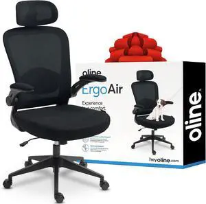 Oline ErgoAir Ergonomic Office Chair  Adjustable Lumbar Support, Flip-Up Armrests, Mesh Computer Desk Chair, Swivel Rolling Executive Gaming Chair for Home & Office (Black)