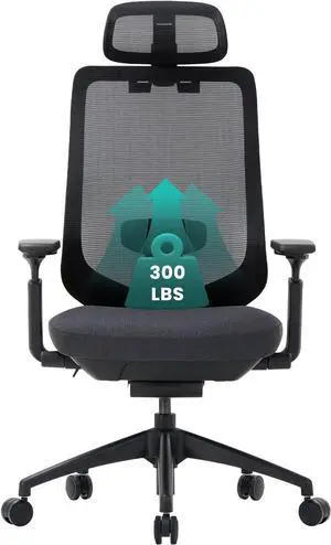 COLAMY Ergonomic Mesh Office Chair,High Back Computer Executive Desk Chair,Lumbar Support with Adjustable Headrest and 4D Arms, Slide Seat, Tilt Lock-Black