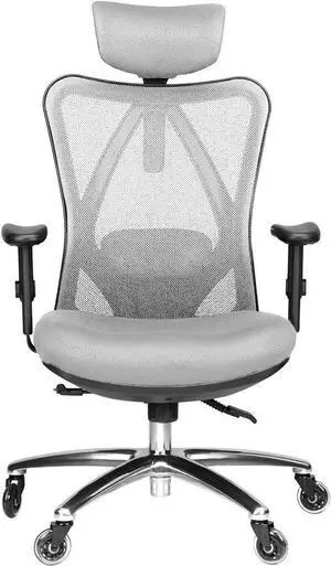 Duramont Ergonomic Office Chair - Adjustable Desk Chair with Lumbar Support and Rollerblade Wheels - High Back Chairs with Breathable Mesh - Thick Seat Cushion, Head, and Arm Rests - Reclines