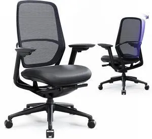 Ergonomic Office Chair, High Back Mesh Desk Chair with Adjustable Lumbar Support, Reclining Backrest, 4D Armrests, Breathable Mesh, Comfortable Computer Chair for Home Office, Work,Study