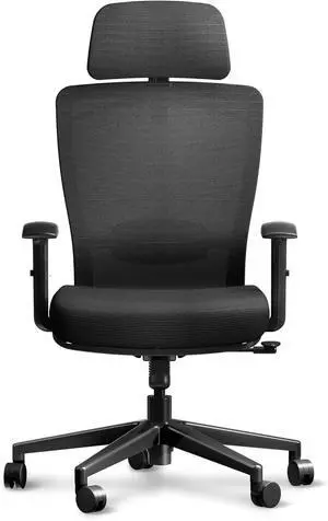 Ergonomic Office Chair High Back Computer Chair Home Office Desk Chairs with Lumbar Support/Heavy Duty Base/Headrest/Lockable Back, Comfortable Foam Seat Cushion, ErgoChair Pro, Black