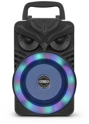 HiFi Stereo Subwoofer Bluetooth-Compatible FM Radio Aux Karaoke Handheld Sound Subwoofer RGB Light Portable Wireless Loudspeaker