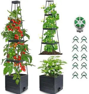 Raised Garden Bed Planter Box with Trellis Tomatoes Planter Box Self-Watering Planter Box for Indoor Outdoor
