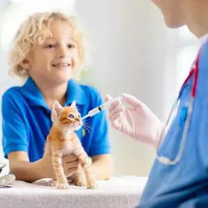 60ml Reusable Plastic Syringe Animal Food Feeding Liquid Nutrient Measuring Tool