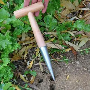 Hand Dibber Garden Tool Stainless Steel Sow Dibbler With Wood Handle Seed Dibber for Sowing Transplanting Planting Bulb Digging