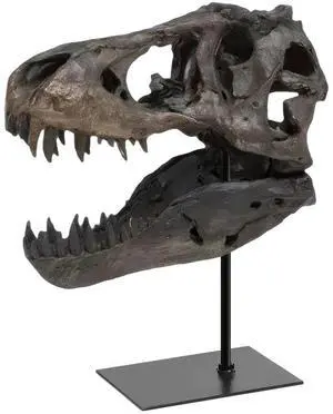 Tyrannosaurus Rex Fossil Figurine Resin Skull Statue with Bracket Skull Sculptures Home Office Decorations