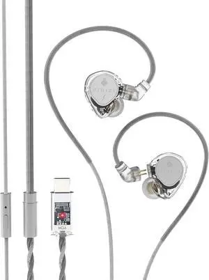 ST2 Pro USB-C Earbuds Wired Dual Magnetic Circuit 10mm Dynamique Drivers in Ear Monitor ESS ES9218AC Pro DAC Chip HD Mic in-Line Control Tpye-C Headphones DSP OFC Cable Tranparent