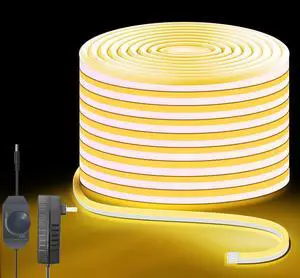 Neon Rope Lights 32.8ft 3000K Warm White Dimmable LED Strip Lights 24V Flexible Cuttable IP67 Waterproof LED Rope Lights for Bedroom Indoor Outdoor (Power Adapter Included)