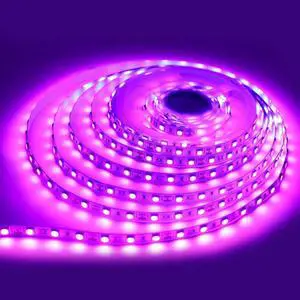 16.4ft Pink LED Strip Lights 12V LED Light for Bedroom with 300 LED Cuttable Tape Light for Kitchen Cabinet Mirror Decor (No Power Adapter)