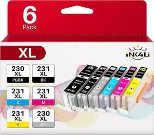 PGI-230XL CLI-231XL Ink Cartridges Compatible Replacement for Canon 230XL 231XL PGI-230 CLI-231 230 231 Ink Cartridges to Use with Canon PIXMA Inkjet Printer TS8820 (PGBK/BK/C/M/Y/GY, 6 Pack)