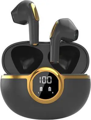 Wireless Earbuds Bluetooth Headphones with LED Display Charging Case,IPX5 Waterproof Earphones in-Ear Buds with Mic,Advanced Active Noise Cancelling,24H Playtime for Android/iOS Phone-Black