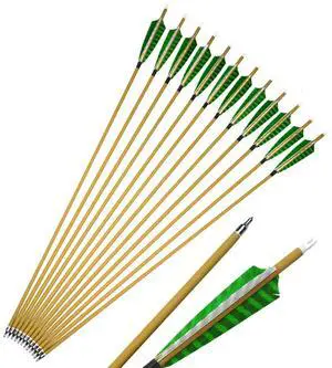 SHARROW Archery 6pcs 30inch Carbon Arrows Spine 500 Hunting Arrows Target Practice Arrows with Removable Tips for Compound Bow and Recurve Bow (Green)