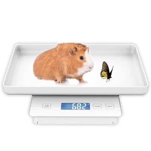 11 lb / 0.1g High-Precision Pet Scale, 0.003oz Accuracy Whelping & Guinea Pig Weighing Scale for Newborn Pets, Kittens & Turtles 11 lb / 0.1g High-Precision Pet Scale, 0.003oz Accuracy Whelping & Guinea Pig Weighing Scale for Newborn Pets, Kittens & Turtles