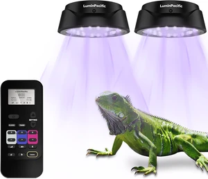 2 Pack UVB Reptile Lights with Timer & Remote UVA UVB Lamp 2 Pack UVB Reptile Lights with Timer & Remote UVA UVB Lamp