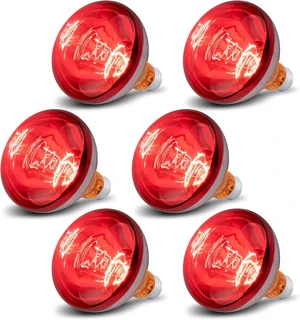 6-Pack 250W R40 Brooder Heat Lamp Bulbs Infrared Reflector Heating for Chicks, Chickens, Pets, Bathroom & Food 6-Pack 250W R40 Brooder Heat Lamp Bulbs Infrared Reflector Heating for Chicks, Chickens, Pets, Bathroom & Food
