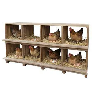 8-Compartment Wooden Chicken Nesting Box with Perches Durable Egg Organizer for Bird Cages & Coops Wall or Floor Mount Prevents Egg Breakage Ideal for Chickens, Ducks 8-Compartment Wooden Chicken Nesting Box with Perches Durable Egg Organizer for Bird Cages & Coops Wall or Floor Mount Prevents Egg Breakage Ideal for Chickens, Ducks