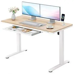 Furmax Electric Standing Desk with Drawers, Adjustable Height Sit Stand Desk with One-Piece Desktop & USB Charging Port for Home Office Computer Desks (Bamboo Desktop, 48 Inch) Furmax Electric Standing Desk with Drawers, Adjustable Height Sit Stand Desk with One-Piece Desktop & USB Charging Port for Home Office Computer Desks (Bamboo Desktop, 48 Inch)