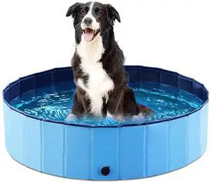 Jasonwell Foldable Dog Pool Collapsible Hard Plastic Dog Swimming Pool Portable Kiddie Pool Pet Pool Doggie Wading Pool Bath Tub for Puppy Small Medium Large Dogs Cats and Kids 32" PP Blue Jasonwell Foldable Dog Pool Collapsible Hard Plastic Dog Swimming Pool Portable Kiddie Pool Pet Pool Doggie Wading Pool Bath Tub for Puppy Small Medium Large Dogs Cats and Kids 32" PP Blue