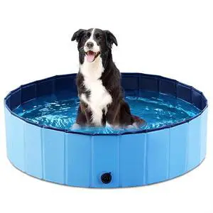 Foldable Dog Pet Bath Pool Collapsible Dog Pet Pool Bathing Tub Kiddie Pool Doggie Wading Pool for Puppy Small Medium Large Dogs Cats and Kids 39.5" Blue Foldable Dog Pet Bath Pool Collapsible Dog Pet Pool Bathing Tub Kiddie Pool Doggie Wading Pool for Puppy Small Medium Large Dogs Cats and Kids 39.5" Blue