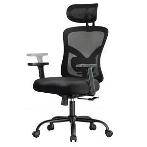 Ergonomic Office Chair Ergonomic Gaming Chair with Lumbar Support, 2D Headrest, Adjustable Armrests, Contoured Seat Cushion, Desk Chair with Wheels for Home and Office (Dark) Ergonomic Office Chair Ergonomic Gaming Chair with Lumbar Support, 2D Headrest, Adjustable Armrests, Contoured Seat Cushion, Desk Chair with Wheels for Home and Office (Dark)