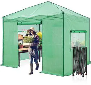 10x10 Portable Walk in Greenhouse, Pop Up Indoor Outdoor Greenhouse, Green House Kit with Zippered Roll-Up Doors and Windows, PE Cover, Clear/Green 10x10 Portable Walk in Greenhouse, Pop Up Indoor Outdoor Greenhouse, Green House Kit with Zippered Roll-Up Doors and Windows, PE Cover, Clear/Green