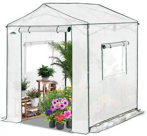 6x6 Portable Pop Up Greenhouse, Patented Center Lock Easy One Person Setup, Walk-in Outdoor Greenhouse with Gable Roof, Weight Bags, Zippered Doors & Windows, White 6x6 Portable Pop Up Greenhouse, Patented Center Lock Easy One Person Setup, Walk-in Outdoor Greenhouse with Gable Roof, Weight Bags, Zippered Doors & Windows, White