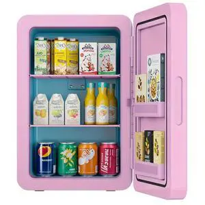 22L/30Cans Mini Fridge for Bedroom, Portable Cooler & Warmer | Mini Refrigerator with Glass Front, Small Cooler for Car Office Desk & Dorm Room Food Beverage Skincare Makeup Cosmetics 22L/30Cans Mini Fridge for Bedroom, Portable Cooler & Warmer | Mini Refrigerator with Glass Front, Small Cooler for Car Office Desk & Dorm Room Food Beverage Skincare Makeup Cosmetics