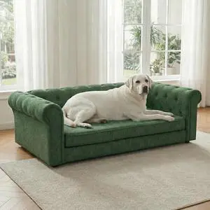 Elevated XL Large Dog Sofa with Backrest and Armrests, 55" Button Tufted Dog Couch Bed with Soft Cushion for Large Dogs, Stylish Lounging Bed Pet Couch Chair, 120Lbs Weight Capacity, Olive Green Elevated XL Large Dog Sofa with Backrest and Armrests, 55" Button Tufted Dog Couch Bed with Soft Cushion for Large Dogs, Stylish Lounging Bed Pet Couch Chair, 120Lbs Weight Capacity, Olive Green