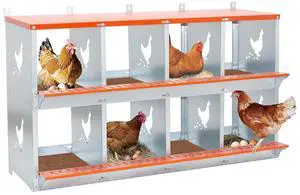 Chicken Nesting Boxes, 8 Compartments Wall Mount Chicken Laying Boxes for Hens/Ducks, Metal Nest Box, Easy Egg Collection & Assembly, Large Vented Galvanized Steel Chicken Coop Equipment, Orange Chicken Nesting Boxes, 8 Compartments Wall Mount Chicken Laying Boxes for Hens/Ducks, Metal Nest Box, Easy Egg Collection & Assembly, Large Vented Galvanized Steel Chicken Coop Equipment, Orange