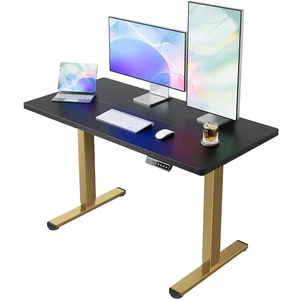48x24 Inch Electric Standing Desk, Height Adjustable 48x24 Inch Electric Standing Desk, Height Adjustable