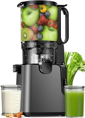 Juicer Machines 2-in-1 Cold Press Juicer Easy to Clean Titanium gray Juicer Machines 2-in-1 Cold Press Juicer Easy to Clean Titanium gray