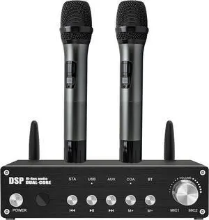 Wireless Microphone System Dual UHF Handheld Mics, Cordless Karaoke Microphone System, Bluetooth Microfono Inalambrico 200FT for DJ, Home KTV Set, Meeting, Church, Party, Wedding