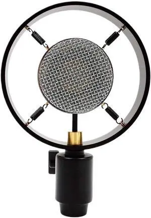 Practical Large-Diaphragm Condenser Microphone, Adjustable Device, Suitable for Theaters and Auditoriums Practical Large-Diaphragm Condenser Microphone, Adjustable Device, Suitable for Theaters and Auditoriums