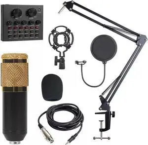 Microphone BM800 Recording Studio Condenser Microphone is Suitable for Radio Broadcasting Singing Recording Computer: White Gold Pack 2 V8 BM800