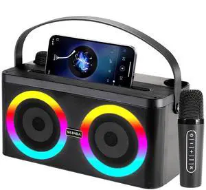 Seenda Karaoke Machine, Portable Speaker PA Systerm with 2 Wireless Microphones for Adults and Kids