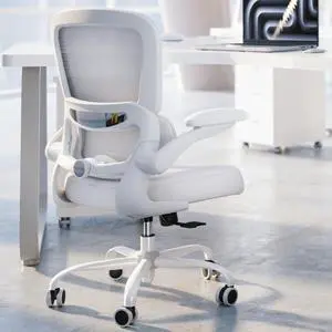 Office Chair - Ergonomic Desk Chair with Adjustable Lumbar Support, Mesh Computer Chair, Executive Chair for Home Office Comfortable Lumbar Support (White White) Office Chair - Ergonomic Desk Chair with Adjustable Lumbar Support, Mesh Computer Chair, Executive Chair for Home Office Comfortable Lumbar Support (White White)