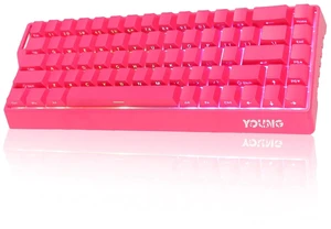 Adventurers WIN68 60% Mechanical Gaming Keyboard,BT5.0/2.4GHz/USB-C Adventurers WIN68 60% Mechanical Gaming Keyboard,BT5.0/2.4GHz/USB-C