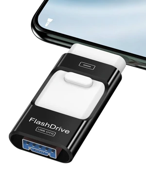 ZARMST 256GB Flash Drive for Phone Photo Stick,Thumb Drive USB Stick High Speed Transfer USB Drives External Picture Video Storage Memory Expansion for Phone/Pad/PC (Titanium Black) ZARMST 256GB Flash Drive for Phone Photo Stick,Thumb Drive USB Stick High Speed Transfer USB Drives External Picture Video Storage Memory Expansion for Phone/Pad/PC (Titanium Black)