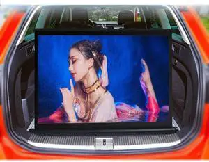 Projector Screen Pull Up 20" 30" 40" 50" Manual Retractable Projection Screen Portable HD Home Theater Movie Screen, Floor Standing(40inch-16:9) Projector Screen Pull Up 20" 30" 40" 50" Manual Retractable Projection Screen Portable HD Home Theater Movie Screen, Floor Standing(40inch-16:9)
