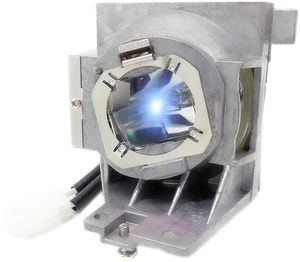 RANETLIO 5J.JGT05.001 Replacement Projector Lamp Bulb with Housing Fit for BENQ TH671ST MH733 TH585P Lamp Replacement RANETLIO 5J.JGT05.001 Replacement Projector Lamp Bulb with Housing Fit for BENQ TH671ST MH733 TH585P Lamp Replacement