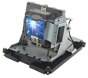Huaute BL-FU310B Replacement Projector Lamp for OPTOMA EH500 X600 DH1017 DH1014 for Vivitek 5811118436-SVV D963HD D966HD D966HT D967 D968U Huaute BL-FU310B Replacement Projector Lamp for OPTOMA EH500 X600 DH1017 DH1014 for Vivitek 5811118436-SVV D963HD D966HD D966HT D967 D968U