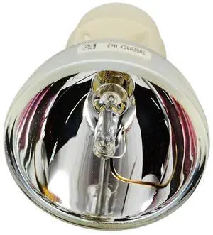 JISIZKY SP.8VH01GC01 BL-FP190E Replacement Bare Lamp Bulb for OPTOMA HD141X EH200ST GT1080 HD26 S316 X316 W316 DX346 BR323 BR326 DH1009 Projectors JISIZKY SP.8VH01GC01 BL-FP190E Replacement Bare Lamp Bulb for OPTOMA HD141X EH200ST GT1080 HD26 S316 X316 W316 DX346 BR323 BR326 DH1009 Projectors