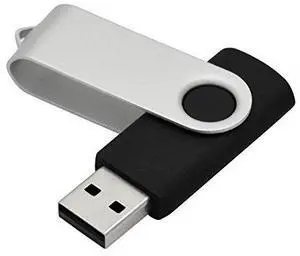 4GB Pen Drive (Flash Memory) USB 2.0 Swivel design (BTQ-SW)-Flash Memory 4GB Pen Drive (Flash Memory) USB 2.0 Swivel design (BTQ-SW)-Flash Memory