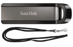 256GB Extreme USB 3.2 Flash Drive 400MB/s for Computer, PC, Laptop (SDCZ810-256G) Bundle with (1) GoRAM Black Lanyard (256GB, 1 Pack) 256GB Extreme USB 3.2 Flash Drive 400MB/s for Computer, PC, Laptop (SDCZ810-256G) Bundle with (1) GoRAM Black Lanyard (256GB, 1 Pack)